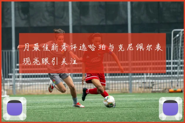 月最佳新秀评选哈珀与克尼佩尔表现亮眼引关注