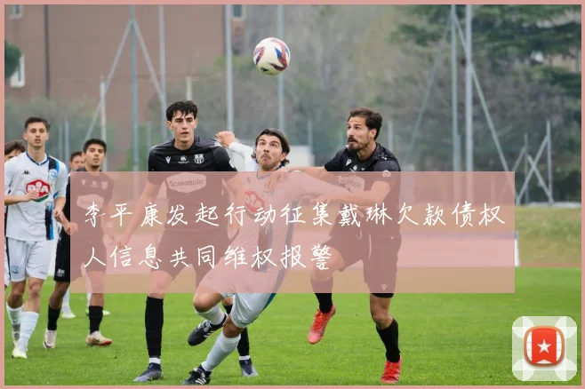 李平康发起行动征集戴琳欠款债权人信息共同维权报警