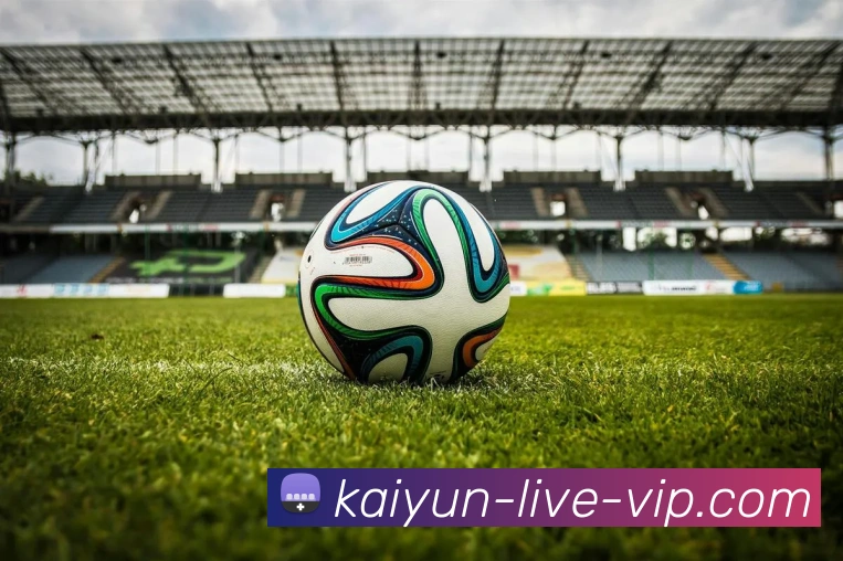 开云APP 高清赛事图